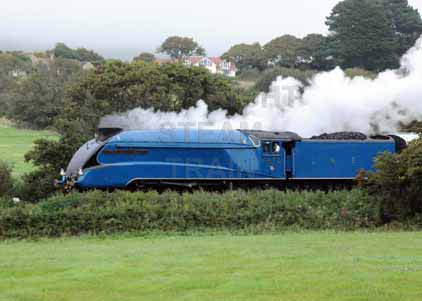 Purchase photo of 4492 DOMINION OF NEW ZEALAND (BITTERN) at Swanage Railway